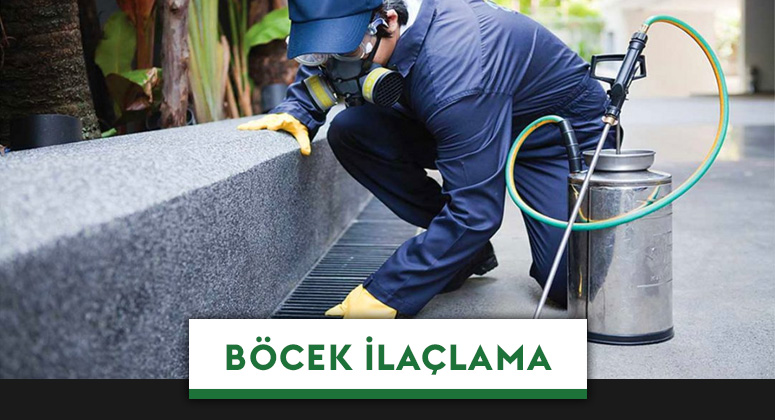 Çorlu Böcek İlaçlama