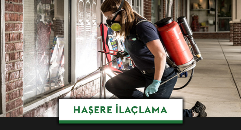 Çorlu Haşere İlaçlama
