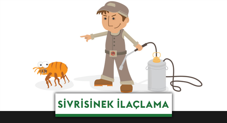 Çorlu Pire İlaçlama
