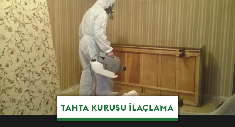 Çorlu Tahta Kurusu İlaçlama
