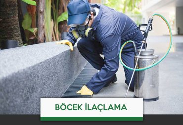 böcek ilaçlama