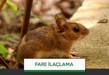 fare ilaçlama