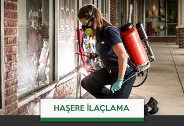 haşere ilaçlama