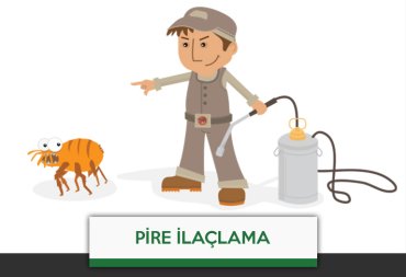 böcek ilaçlama