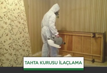 tahta kurusu ilaçlama
